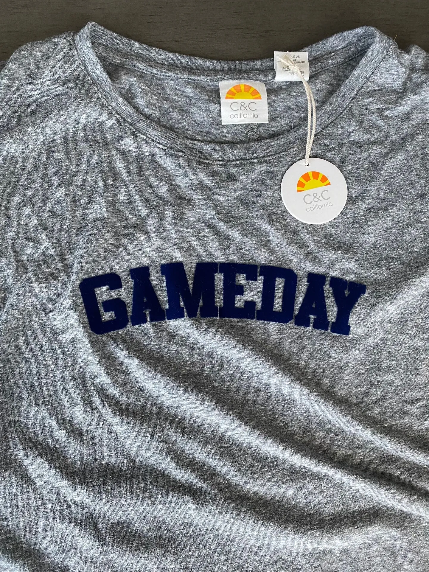 Game Day Graphic Tee(Gray)