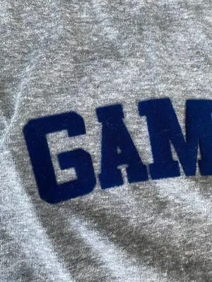 Game Day Graphic Tee(Gray)