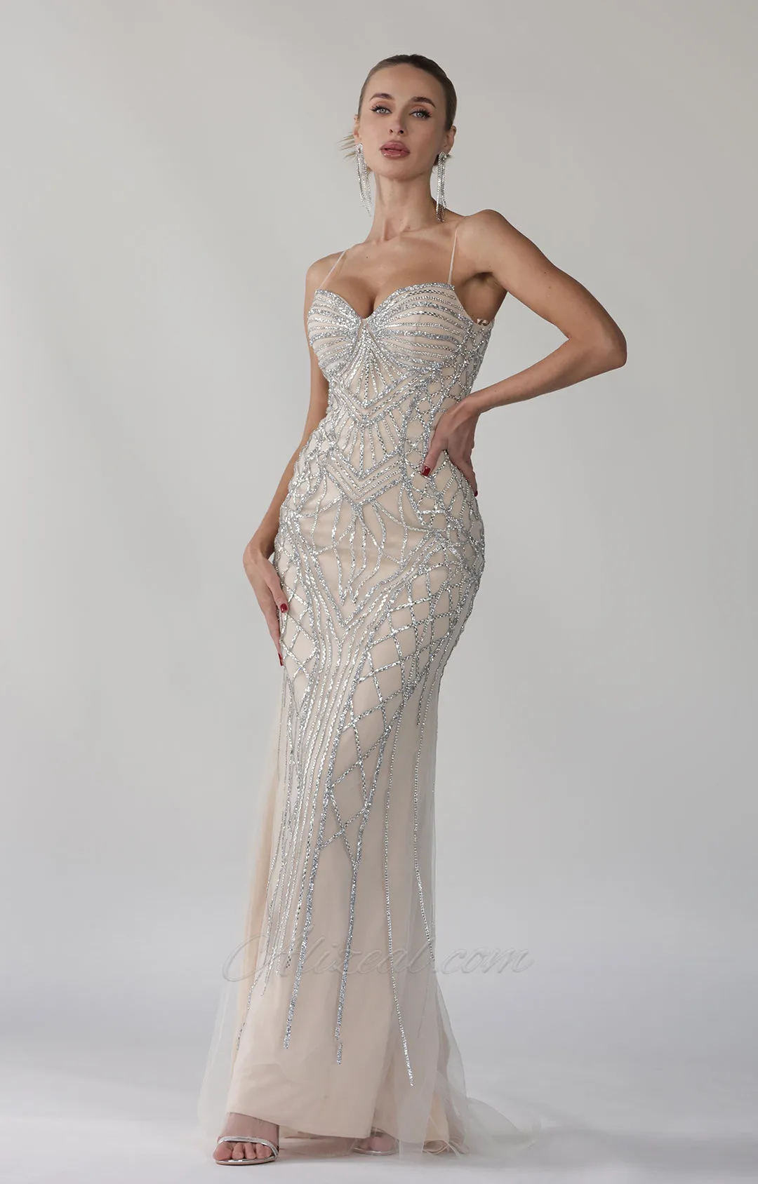 Heart Collar Spaghetti Straps Sparkly Sheath Evening Dress
